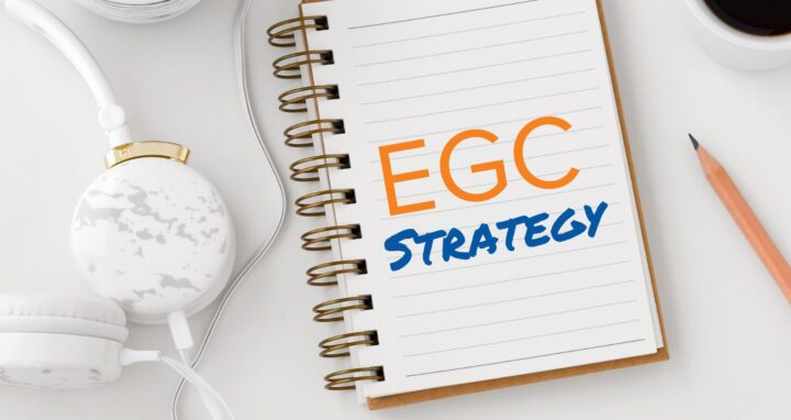 Springboard Communications - EGC Strategy